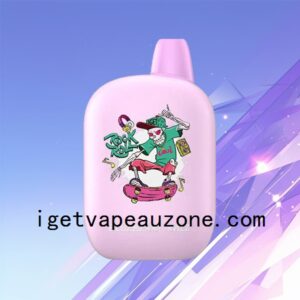 IGET B5000 Rechargeable Disposable Vape with 5000 Puffs Blueberry Razz