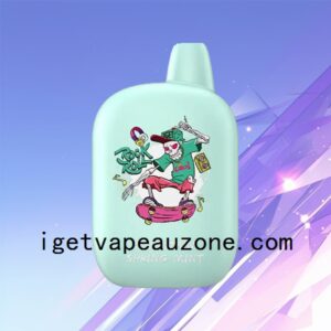 IGET B5000 Rechargeable Disposable Vape with 5000 Puffs Mountain Spring Mint