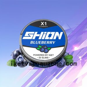 Flavors IGET SHION X1 Oral Nicotine Pouch Satisfying and Convenient Blueberry Ice