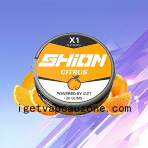 Flavors IGET SHION X1 Oral Nicotine Pouch Satisfying and Convenient Citrus
