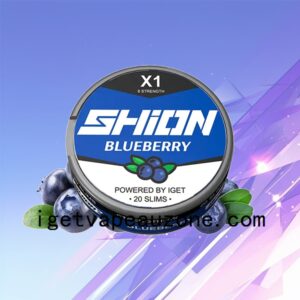Flavors IGET SHION X1 Oral Nicotine Pouch Satisfying and Convenient Blueberry Ice