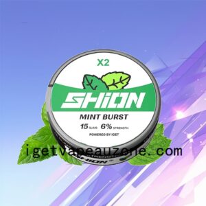Flavors IGET SHION X2 Oral Nicotine Pouch Indulge Your Taste Buds Mint Burst