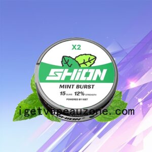 Flavors IGET SHION X2 Oral Nicotine Pouch Indulge Your Taste Buds Mint Burst