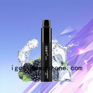 Nicotine Free IGET Legend Disposable Vape 4000 Puffs Smooth Experience Blackberry Ice
