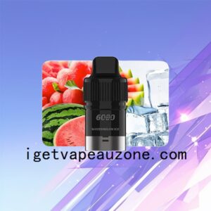 IGET Bar Plus Pod Disposable Vape for Enhanced Flavor Watermelon Ice