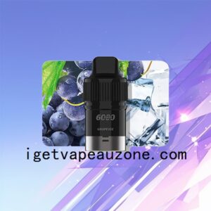 IGET Bar Plus Pod Disposable Vape for Enhanced Flavor Grape Ice