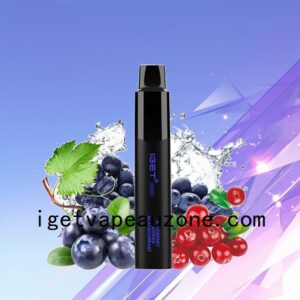 IGET Legend Disposable Vape 4000 Puffs Premium Performance Blueberry Berries Blackcurrant