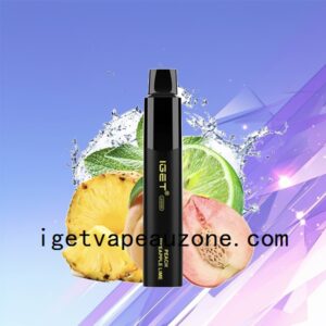 IGET Legend Disposable Vape 4000 Puffs Premium Performance Peach Pineapple Lime