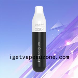 Innovative IGET Max Disposable Vape 2200 Puffs Next Level Vaping Blackberry Ice