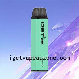 IGET Mega Disposable Vape 3000 Puffs Big Flavor Big Clouds Mint Ice