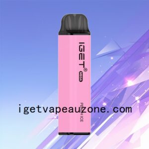 IGET Mega Disposable Vape 3000 Puffs Big Flavor Big Clouds Peach Ice