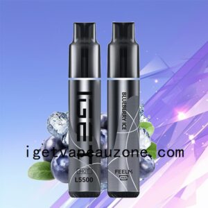 Premium IGET HOT Disposable Vape 5500 Puffs Heat Up Your Vaping Blueberry Ice