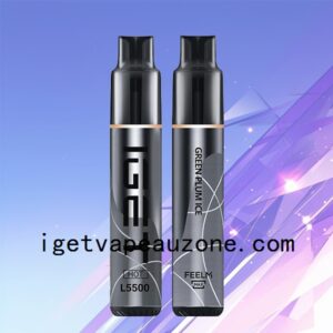 Premium IGET HOT Disposable Vape 5500 Puffs Heat Up Your Vaping Green Plum Ice