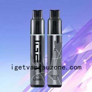 Premium IGET HOT Disposable Vape 5500 Puffs Heat Up Your Vaping Mint Ice