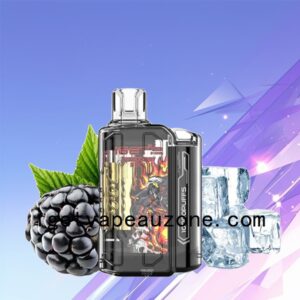 IGET Flare B10000 Rechargeable Vape Power and Flavor Combined Blackberry Ice
