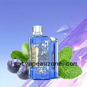 IGET Flare B10000 Rechargeable Vape Power and Flavor Combined Blueberry Mint