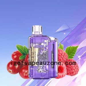 IGET Flare B10000 Rechargeable Vape Power and Flavor Combined Cranberry Raspberry Ice