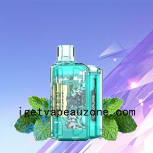 IGET Flare B10000 Rechargeable Vape Power and Flavor Combined Mountain Spring Mint