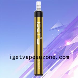 New IGET Plus Disposable Vape 1200+ Puffs PFO Ice