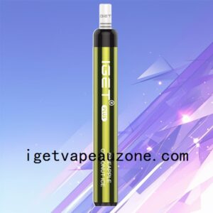 New IGET Plus Disposable Vape 1200+ Puffs Pineapple Coconut Ice